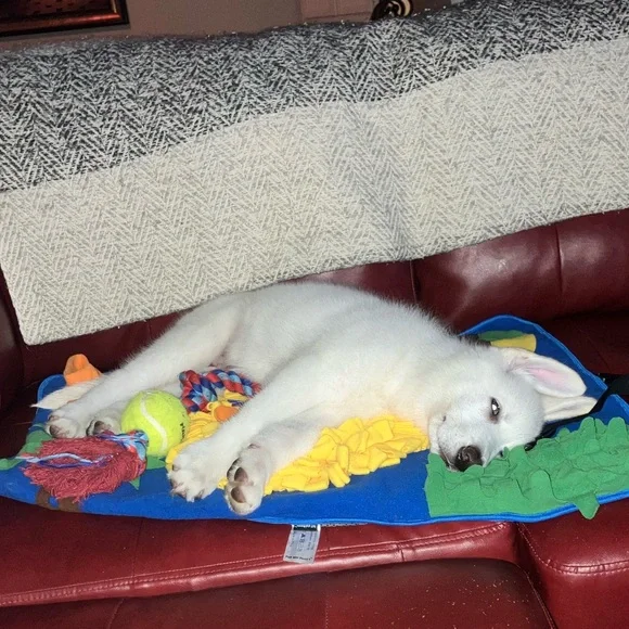 Puff and Percy's 30"x22" Snuffle Mat for Small Dogs, Rabbits, and Cats NWT - Picture 5 of 6